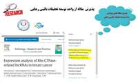 پذیرش 3 مقاله علمی پژوهشی از واحد توسعه تحقیقات بالینی